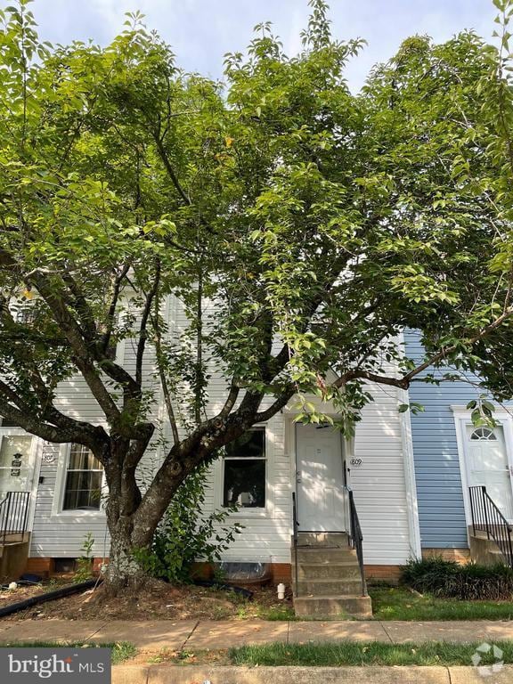 Building Photo - 809 Madison Ct Rental