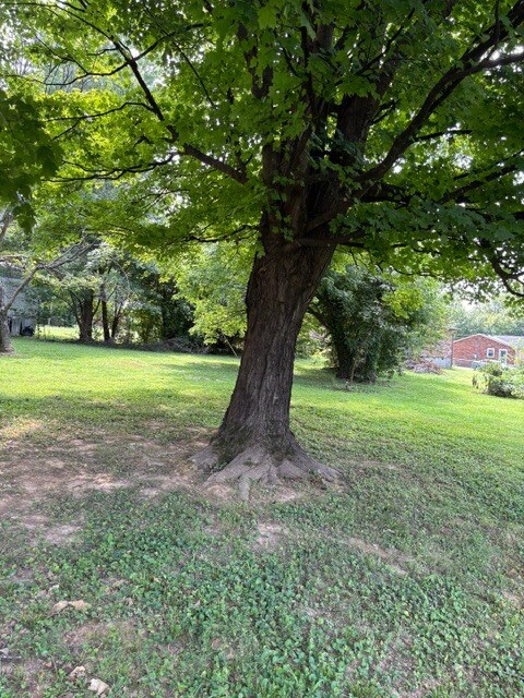 Photo - 123 Stumphs Ct