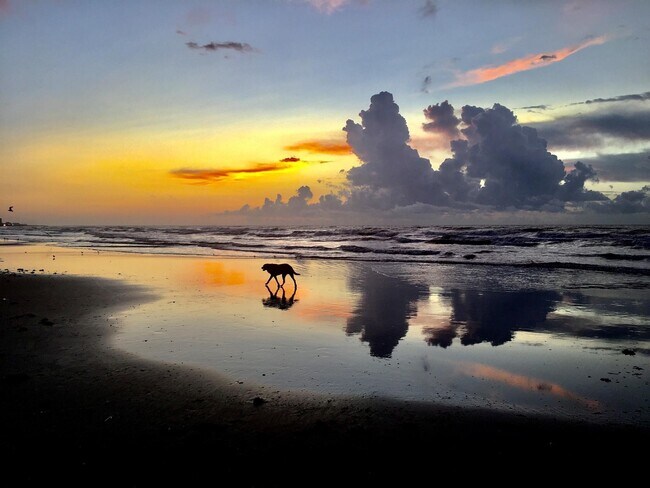 Photo - 2010 The Strand Unit 301