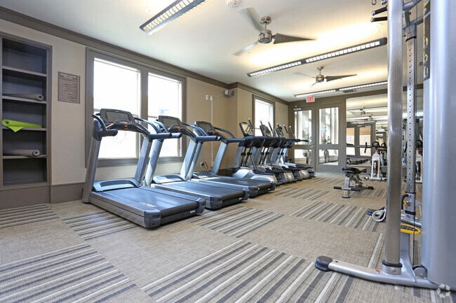 Gimnasio