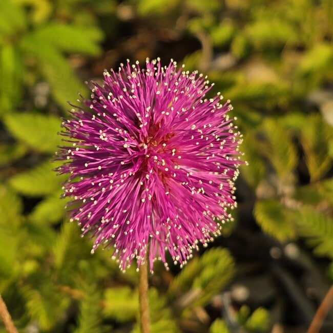 Photo - 1670 NE 191st St Unit 208-3