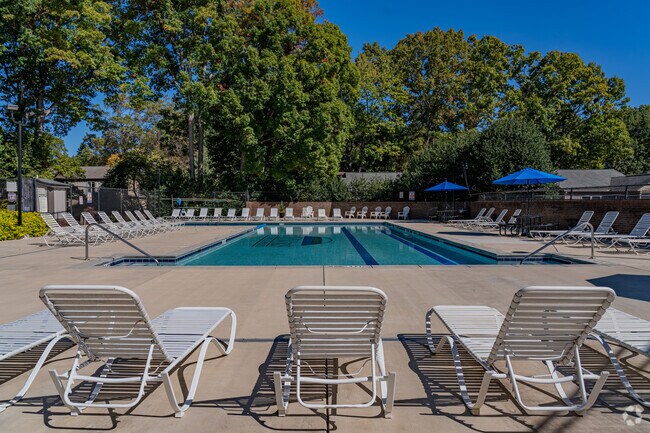 Pool & Patio