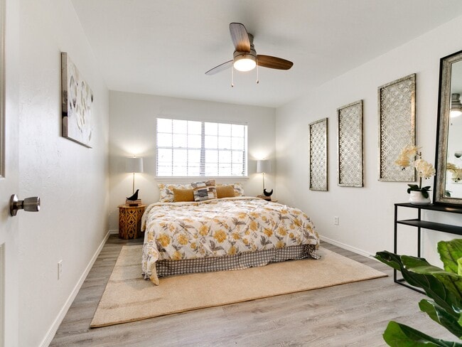 Oasis Apartments at Paseo
