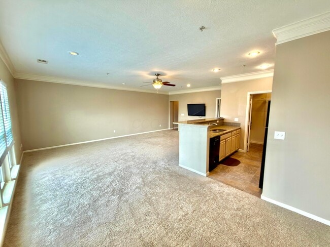 Photo - 6265 Craughwell Ln