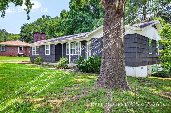 Photo - 955 Brandy Ln