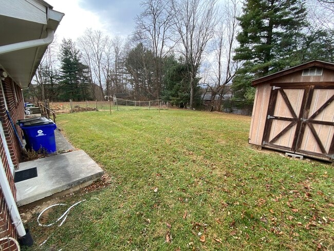 backyard 2 - 1005 Montgomery St Unit A
