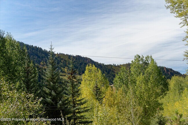 39 Roaring Fork Dr