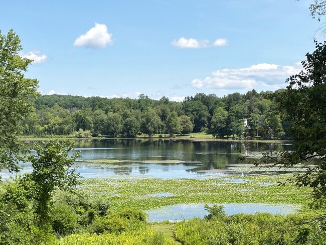 40 W Hunns Lake Rd