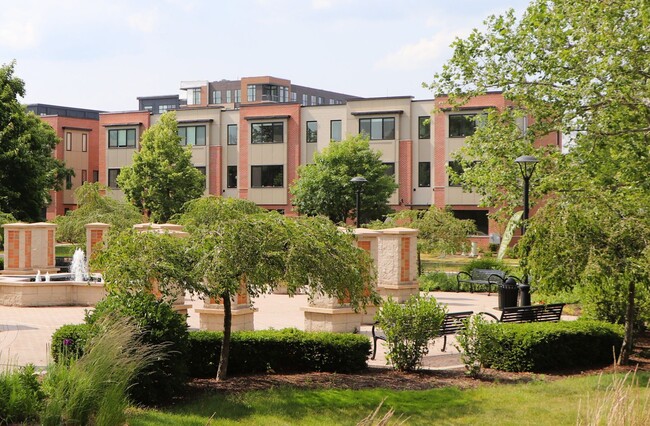 Photo - Lions Park Row