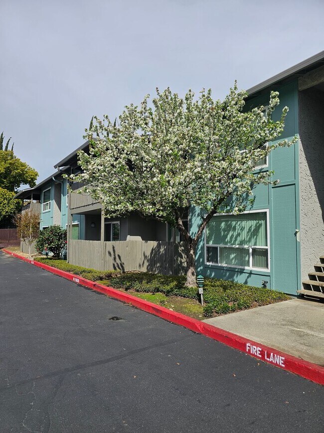 Chico Meadows Apartments