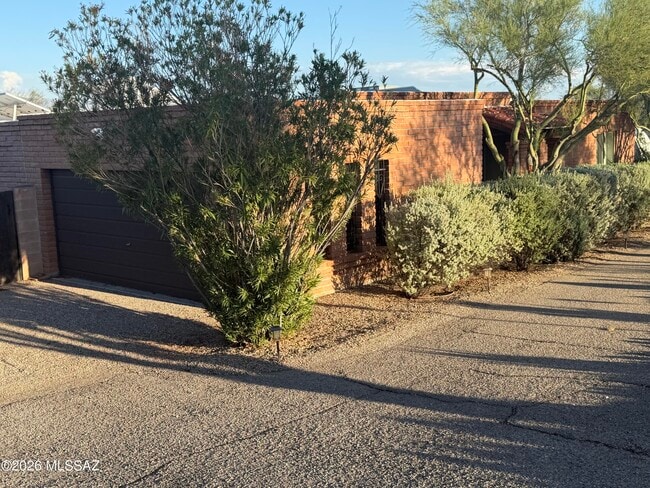 3800 N Tanuri Dr