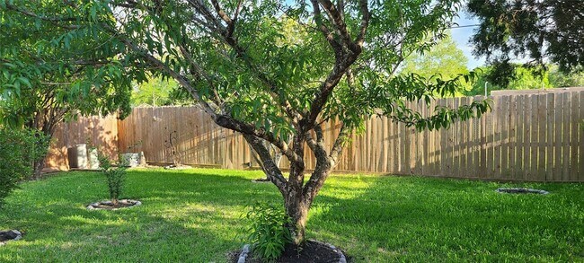 Photo - 16311 La Luna Dr