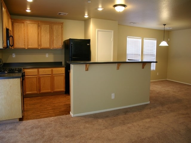 Photo - 1171 Paradise Safari Dr