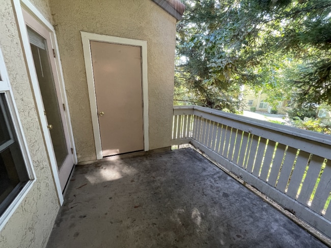 Photo - 2008 Forest Run