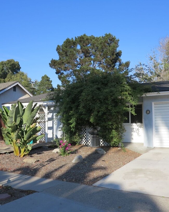 Charming 3 bedroom, 1-bathroom home in San... - Charming 3 bedroom, 1-bathroom home in San...