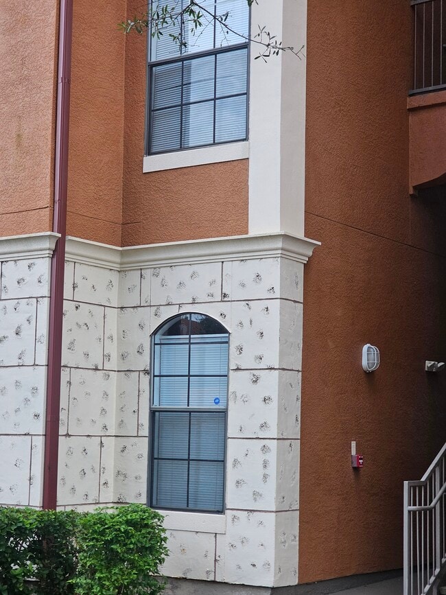 Photo - 6149 Metrowest Blvd Unidad 106