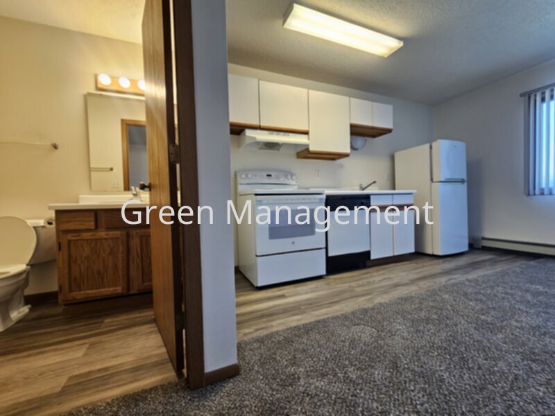 Efficiency/Studio with New Flooring - Efficiency/Studio with New Flooring House