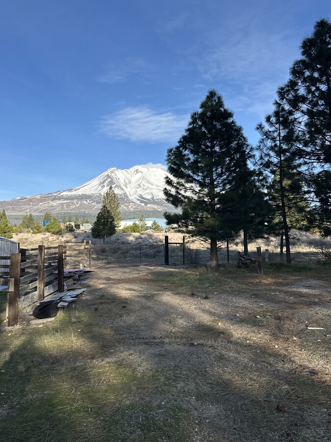 Photo - 1524 Alves Rd