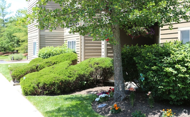 Photo - Shayler Glen