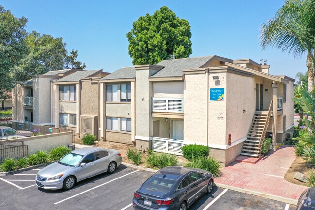 rio vista apartments rio hondo