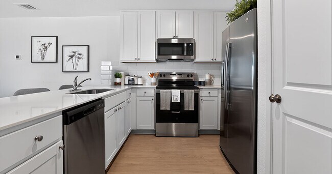 Vista at Avenida Rental Homes
