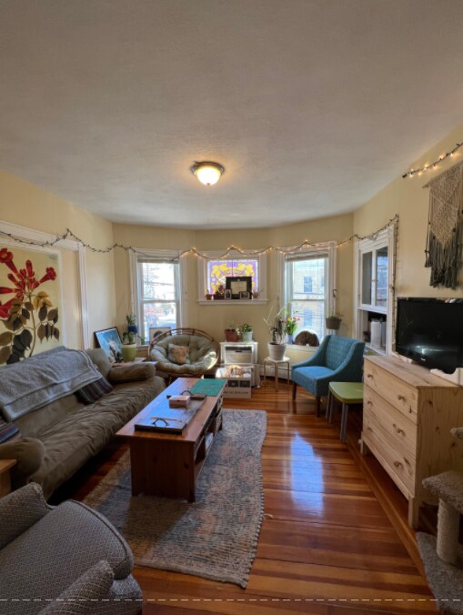 Photo - 2 Gilson Ter