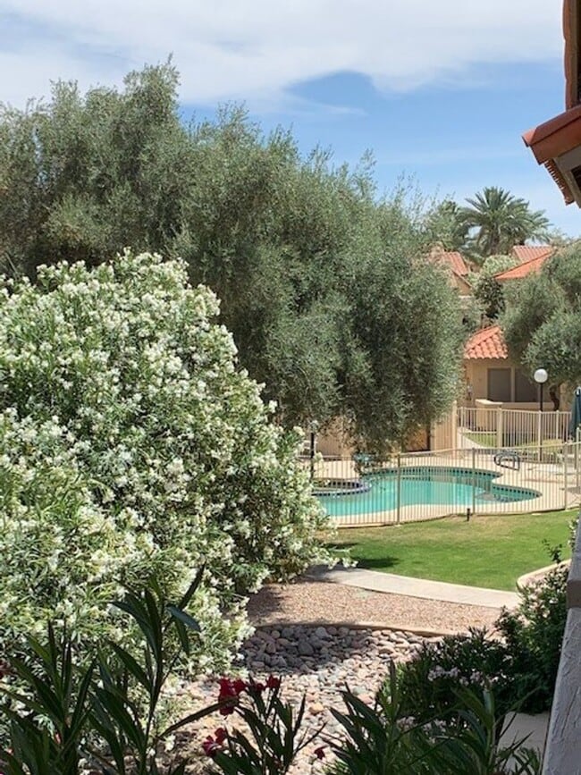 Building Photo - One bedroom condo/ Scottsdale Unit 2533