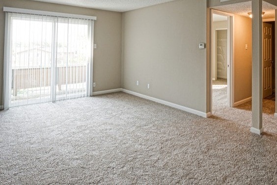 Upgraded Carpet