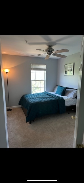 Building Photo - 8208 Brooktree St Unit Single room 1 of 2