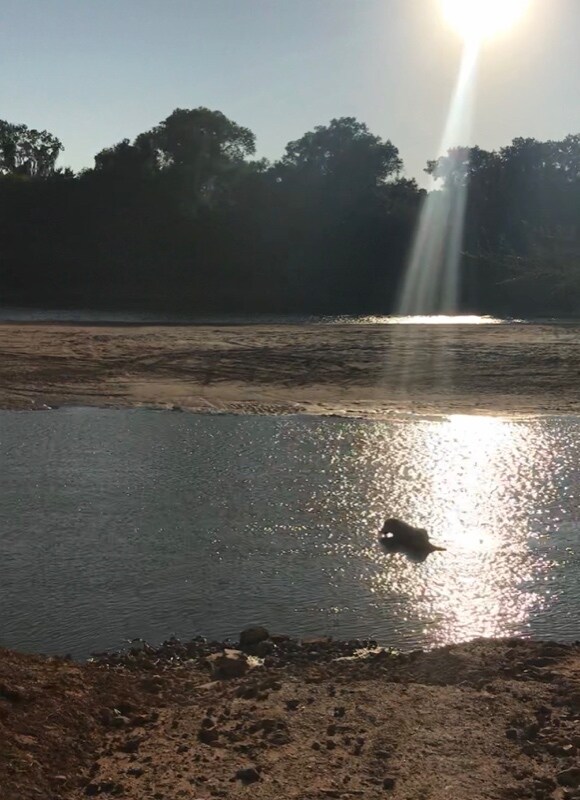 Photo - 4411 County Rd 127