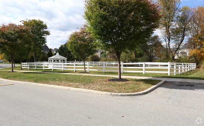 Pet Exercise Area