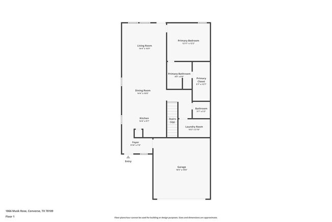 Photo - 1866 Musk Rose