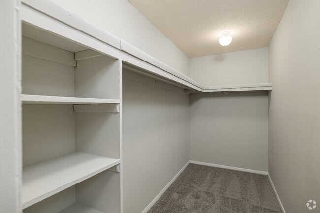 1BR, 1BA - 869SF - Closet