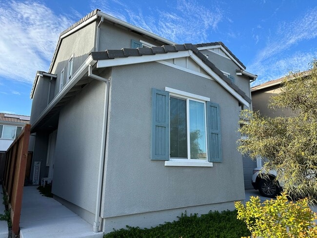 Photo - PET FRIENDLY