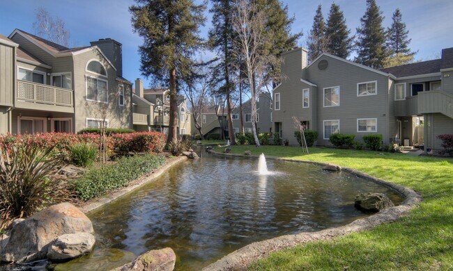 Wood Creek