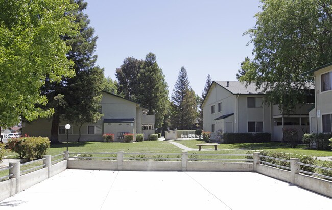 Vineyard Apartments