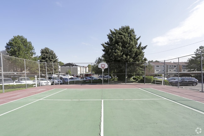 Basketball Court