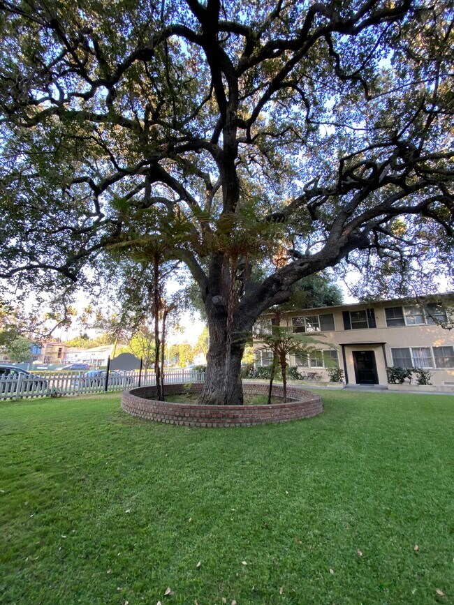 Photo - 1622 W Huntington Dr Unit A