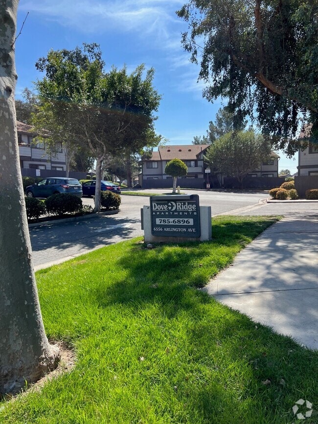 Building Photo - Dove Ridge Apartments