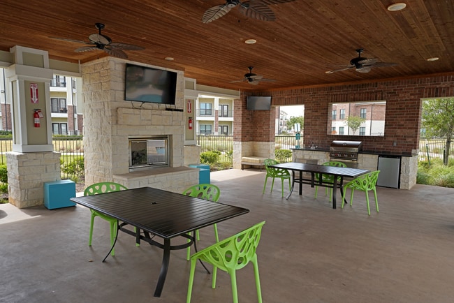 Photo - Falcon at Grand Harbor