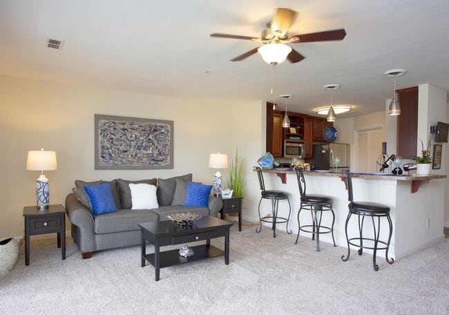 Open Living Room - Mill Creek Landing Apartments