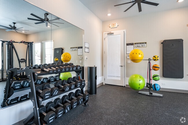 Fitness