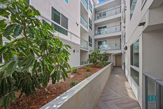 Interior Courtyard