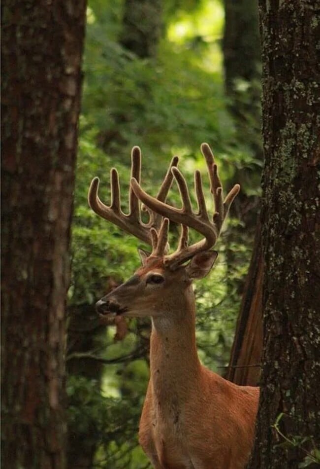 Photo - 304 Sunset Ct