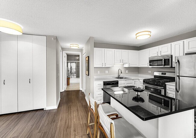 Photo - 545 N Dearborn St Unit 3006