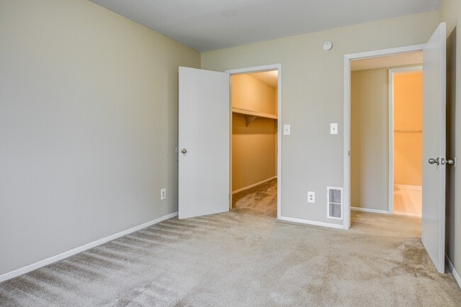 Photo - Chestnut Lake