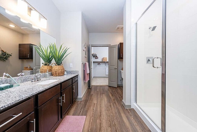 Bathroom with Spacious Closet