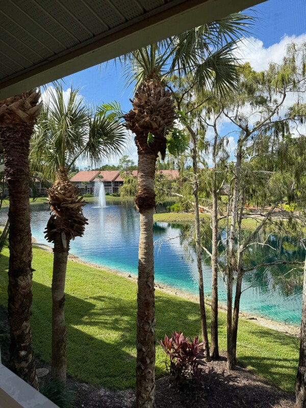 Photo - 1635 Windy Pines Dr