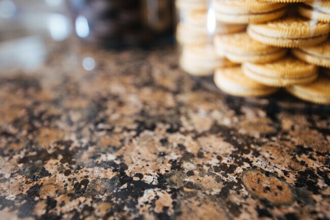 Photo - High Point Woods