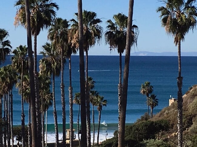 Building Photo - 501 Avenida Del Mar Rental